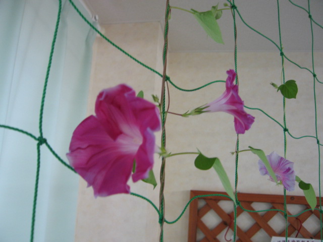 ファイル 10-1.jpg