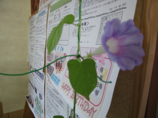 ファイル 10-2.jpg