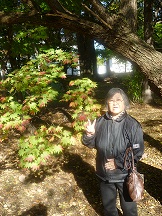 ファイル 102-2.jpg