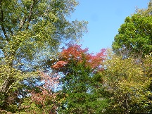 ファイル 102-3.jpg