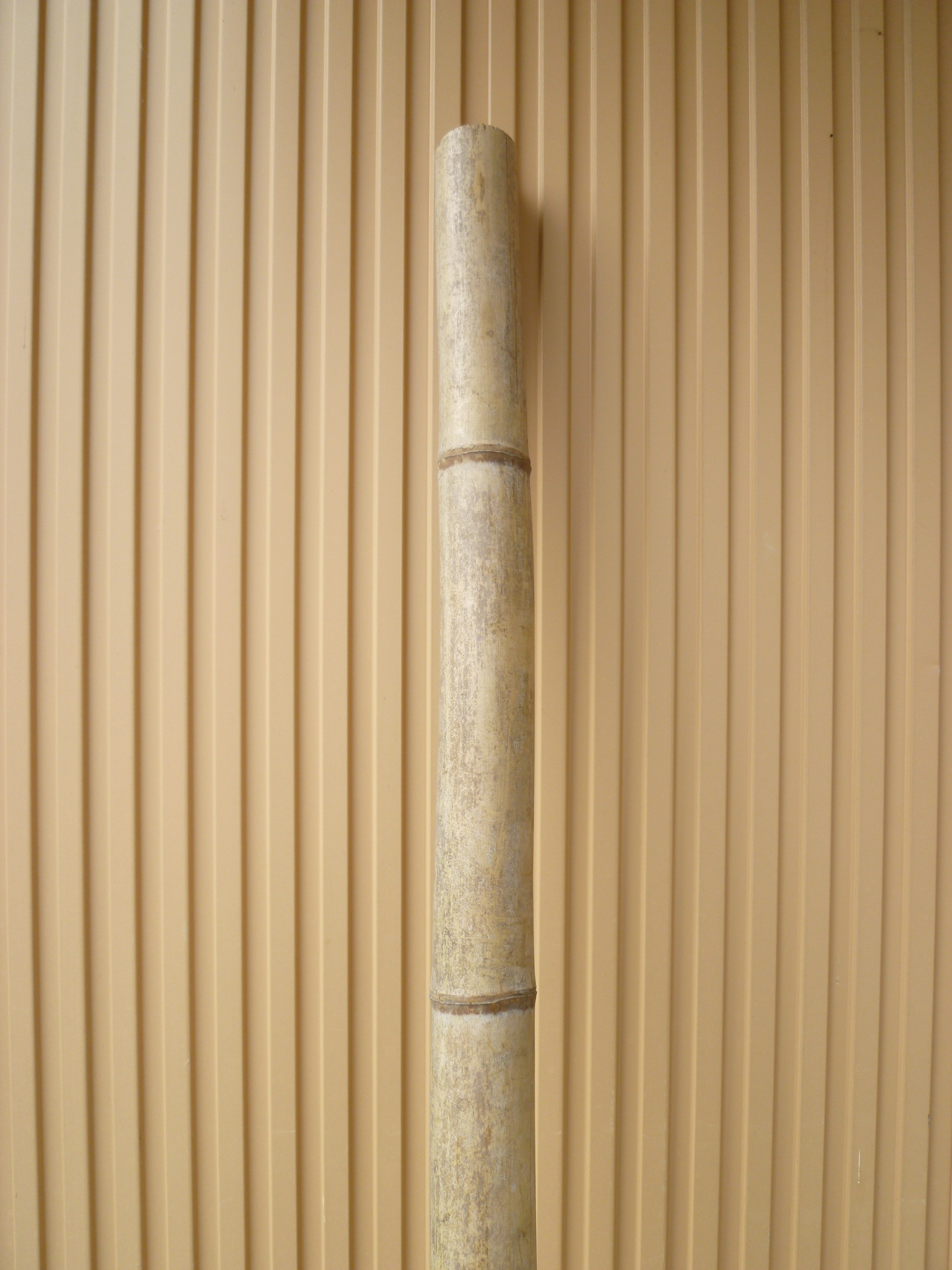 ファイル 16-1.jpg