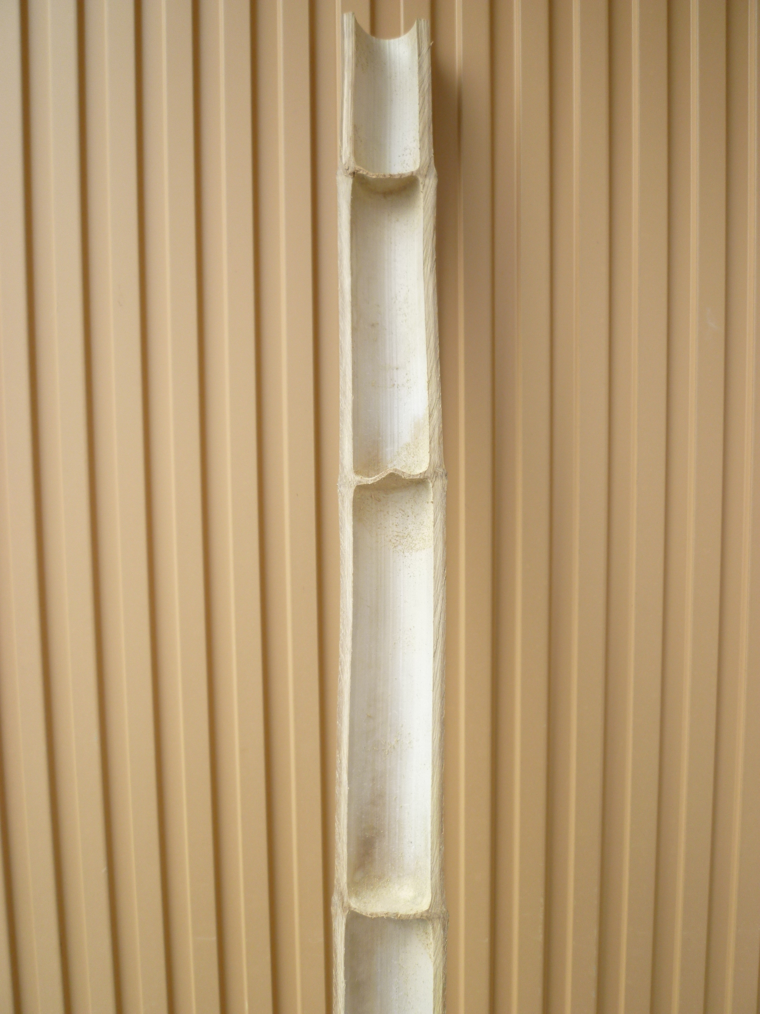 ファイル 16-2.jpg