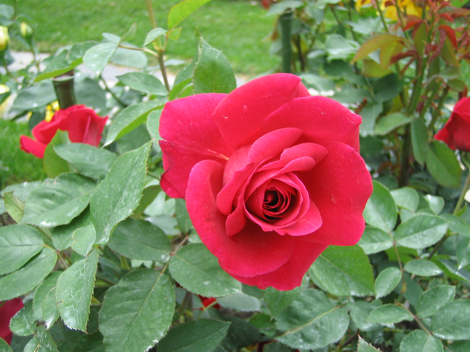 ファイル 3-3.jpg