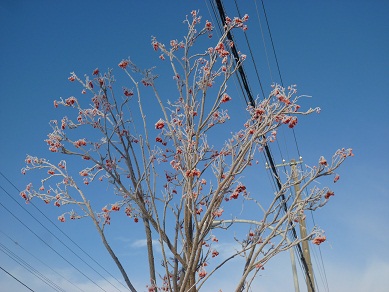 ファイル 35-2.jpg