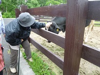 ファイル 69-2.jpg