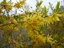 ファイル 94-4.jpg